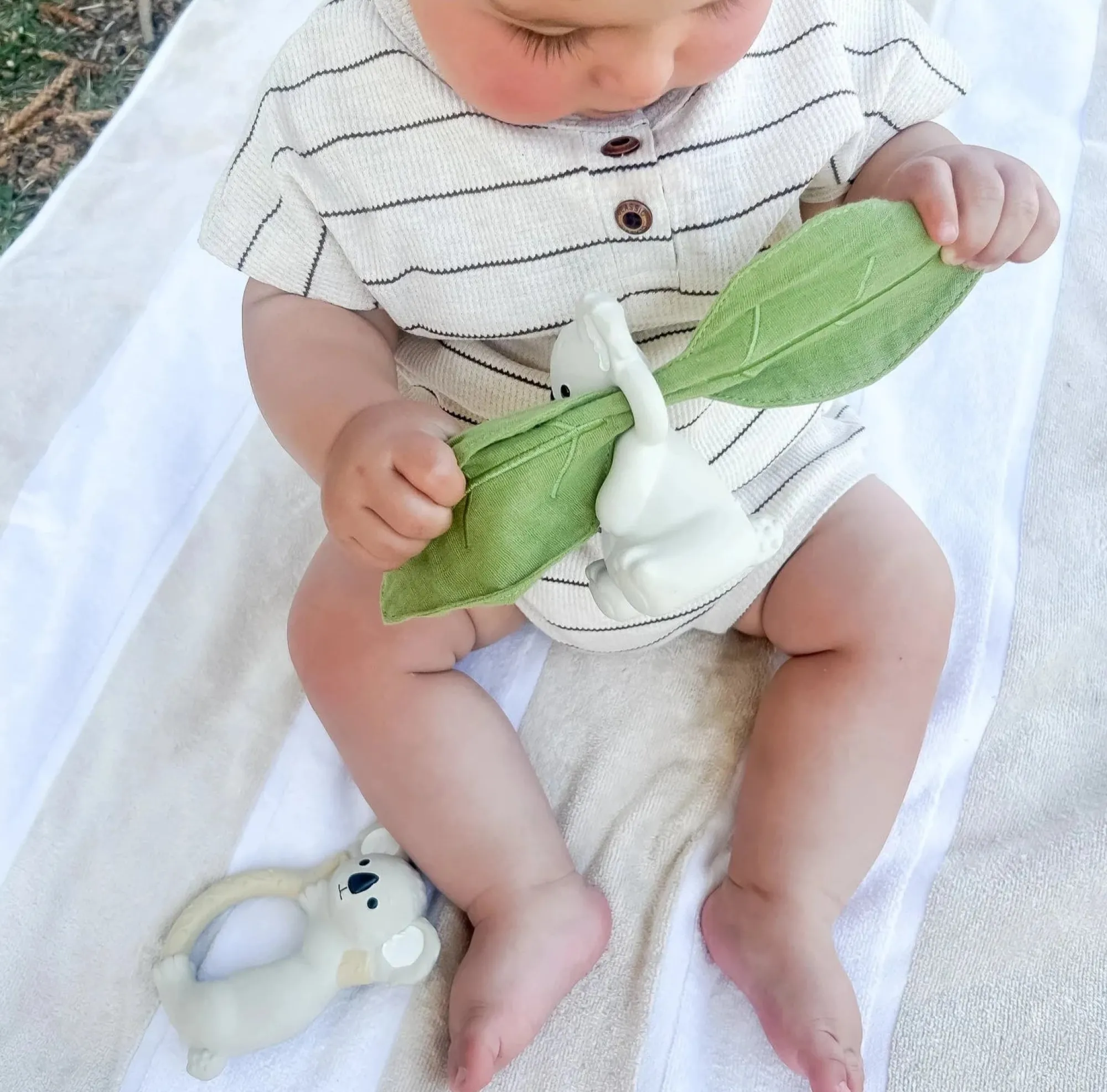 banks_the_koala_rattle__s_1.webp Winnie Parkes Teethers & Rattles | Eco>Banks the Koala Rattle & Scrunch - 0+