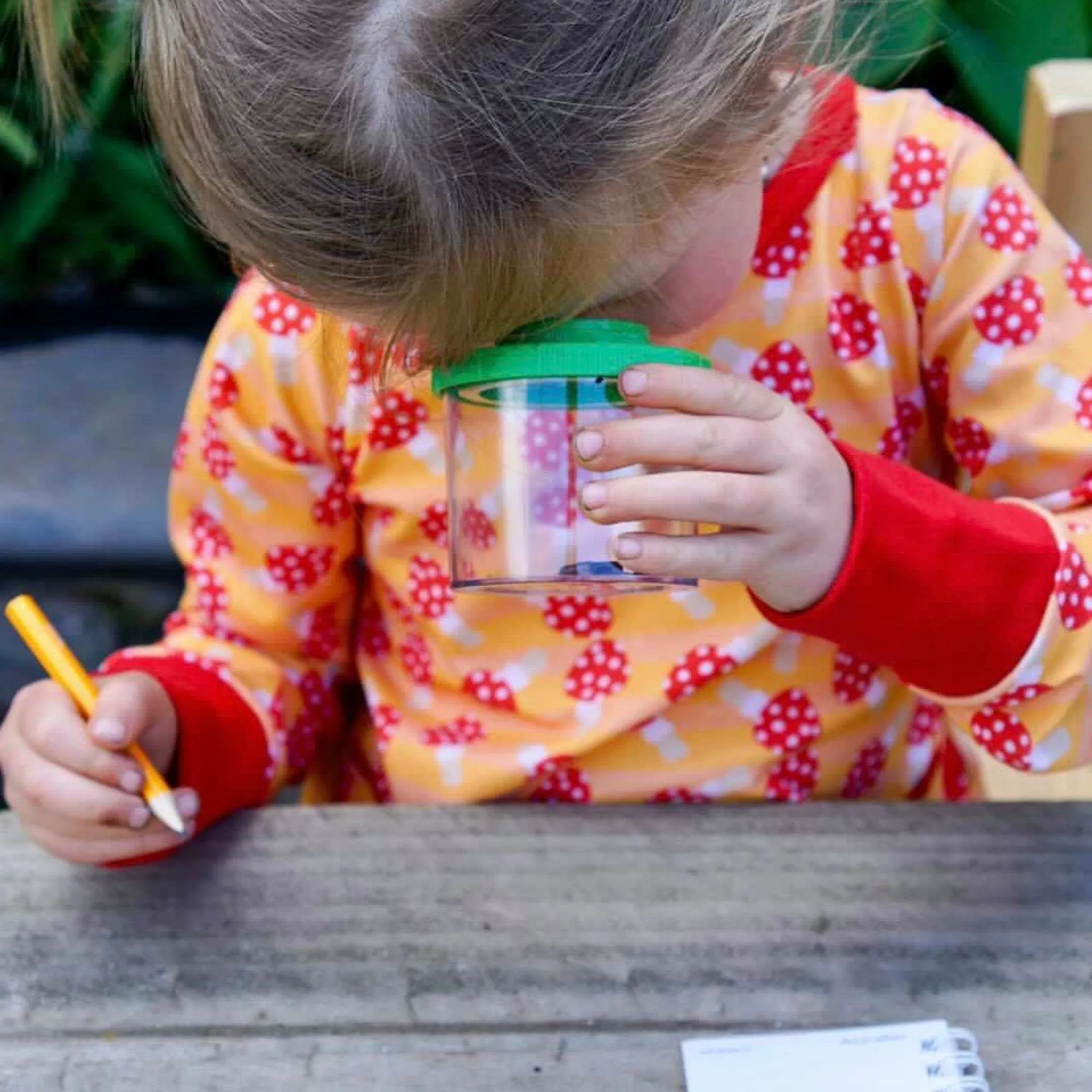 bug_spotter_kit___6.webp Tiger Tribe Garden | Activity>Bug Spotter Kit - 3+