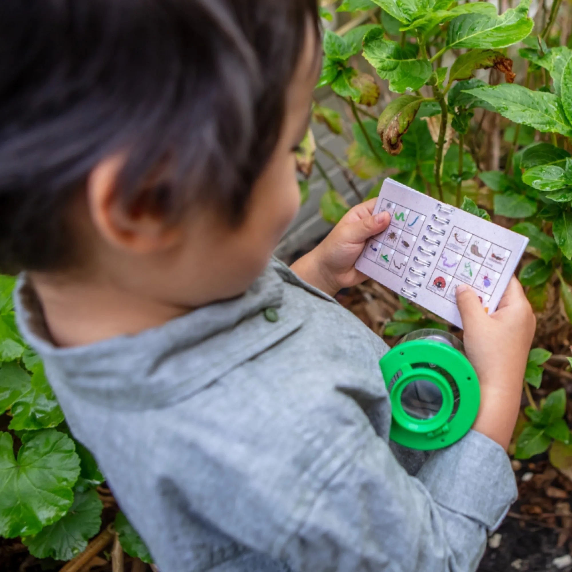 bug_spotter_kit___8.webp Tiger Tribe Garden | Activity>Bug Spotter Kit - 3+