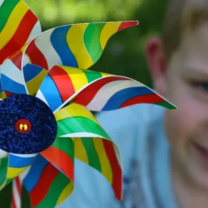 Whirly Windmills Garden | Novelty>Carnival Windmill - 18M+