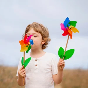 Whirly Garden>Cino - 18M+