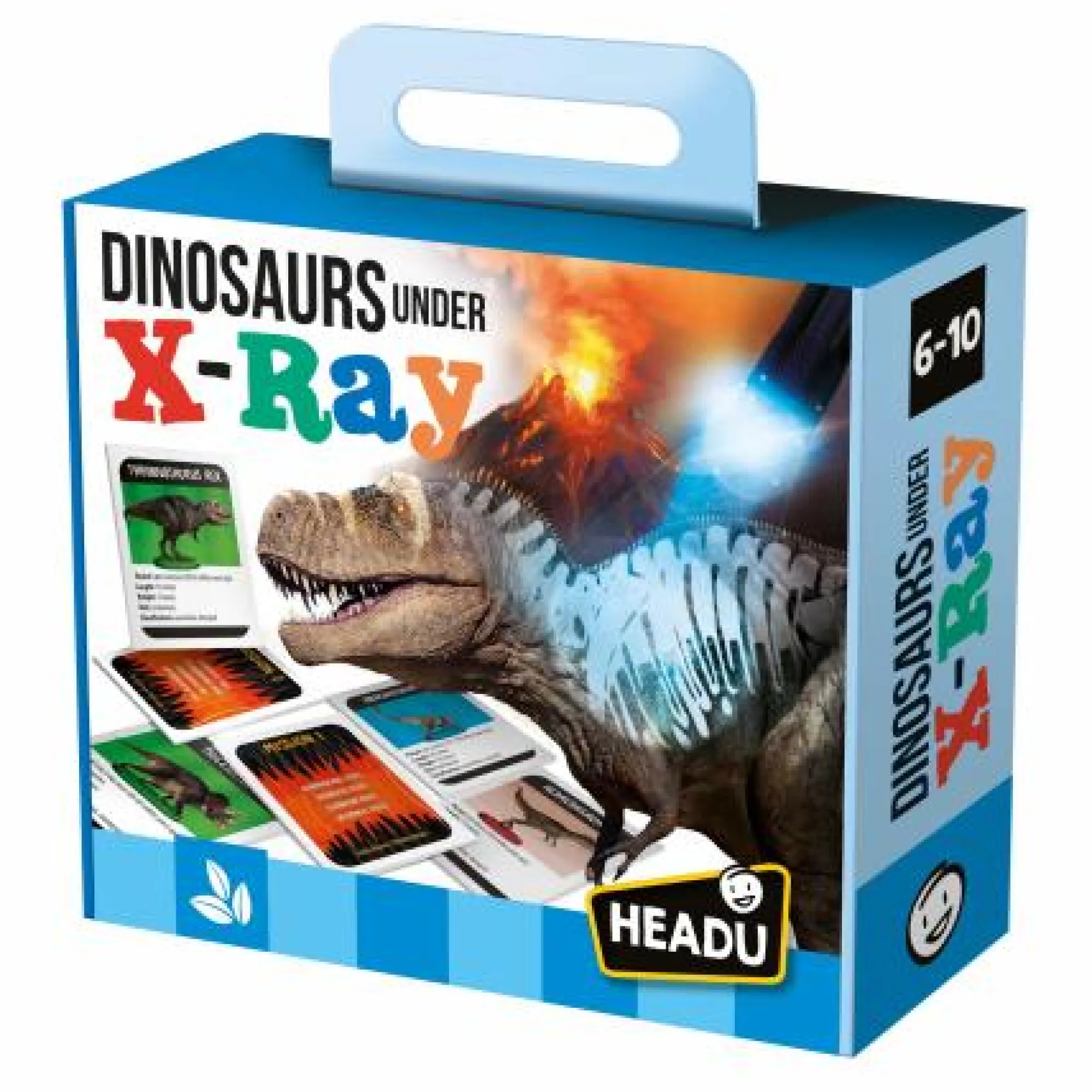 dinosaurs_under_xray___0.webp Headu Activity | Outlet>Dinosaurs under X-Ray - 6+