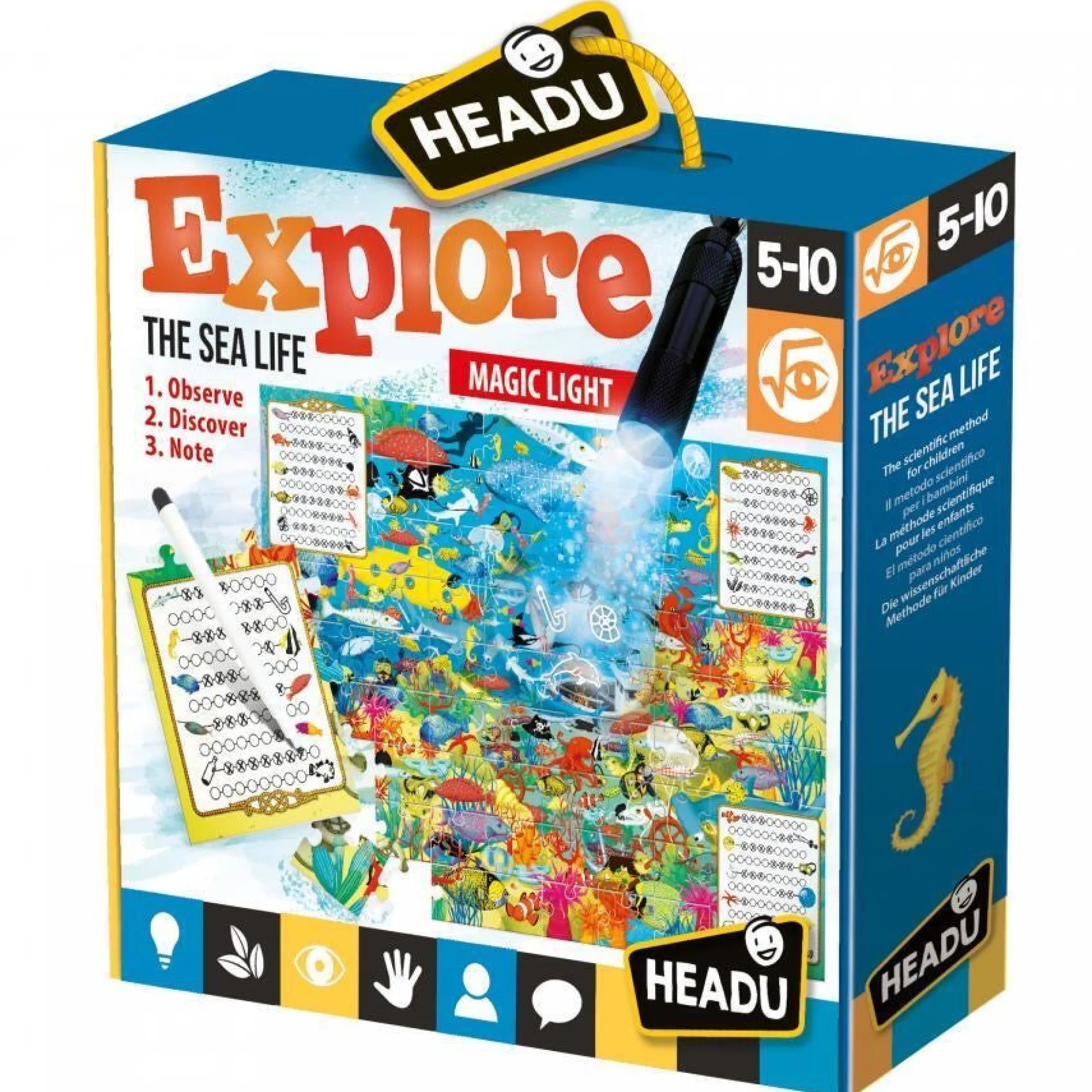 explore_the_sea_life___0.webp Headu Puzzles | Activity>Explore the Sea Life - 5+