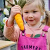 Spotty Dot Easter>Felt Orange Carrot