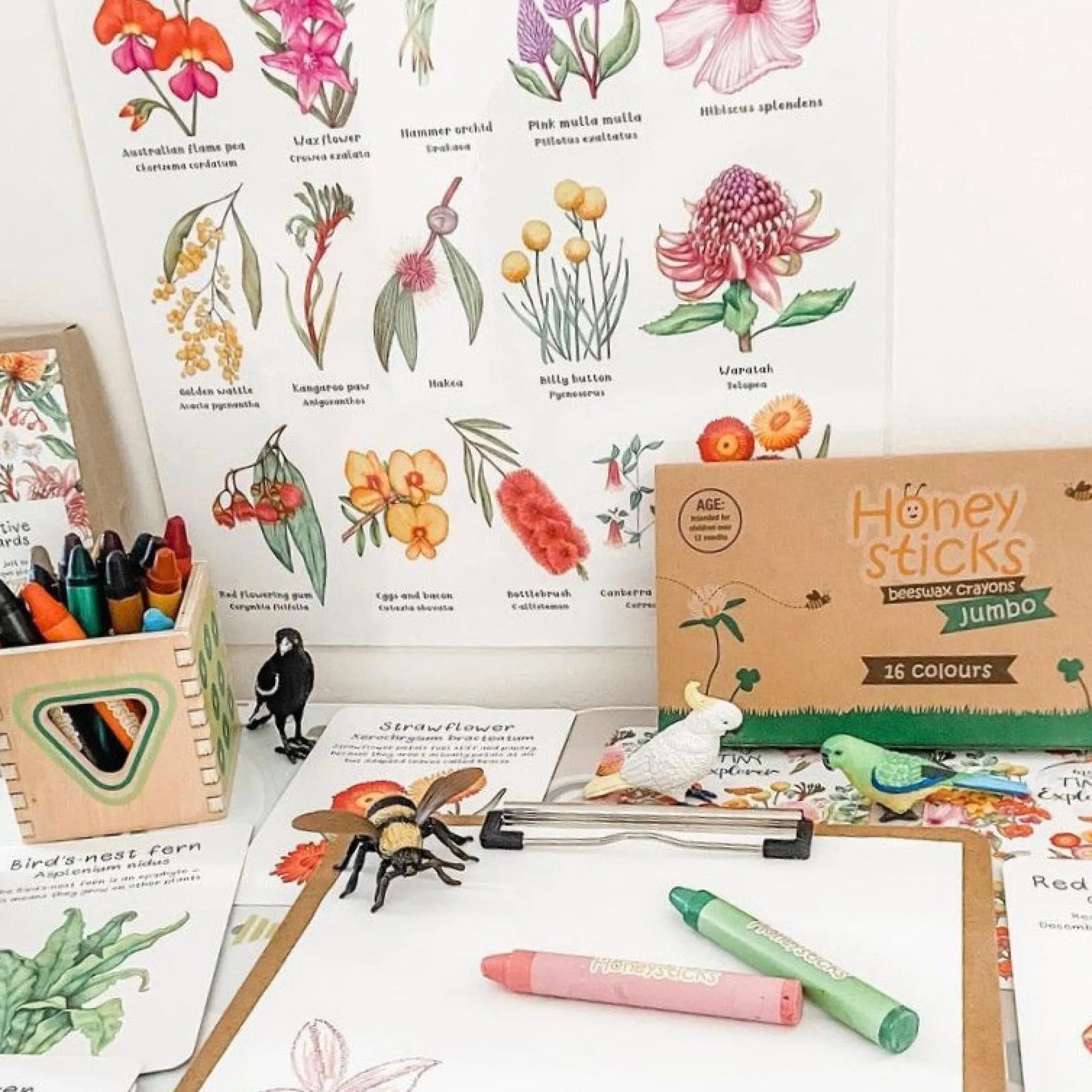 jumbo_crayons__m_3.webp Honeysticks Eco | Art & Craft>Jumbo Crayons - 12M+