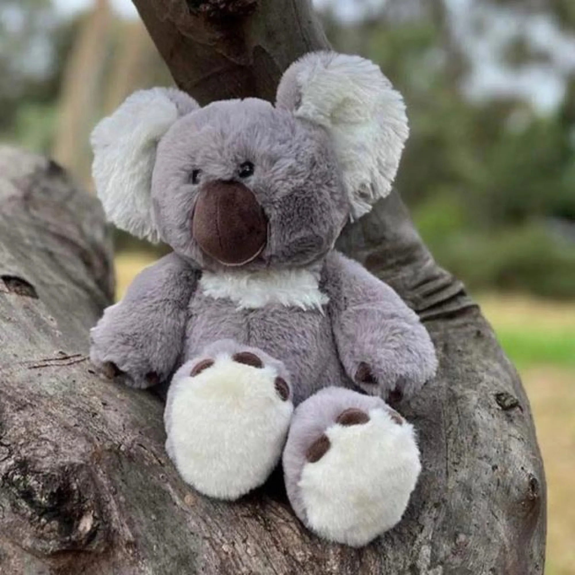 koala_0.webp Furfolk Travel | Soft Toys>Koala