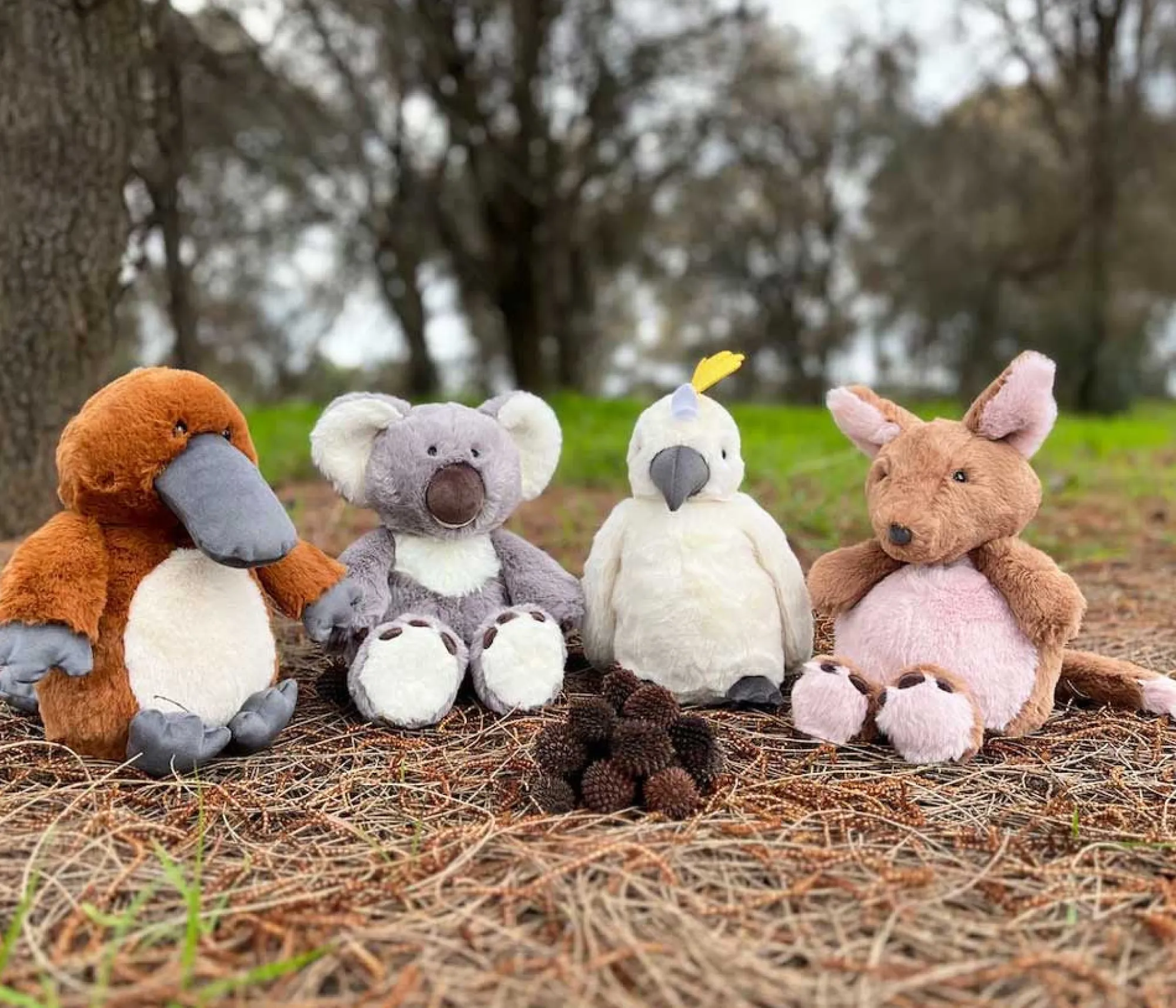 koala_2.webp Furfolk Travel | Soft Toys>Koala