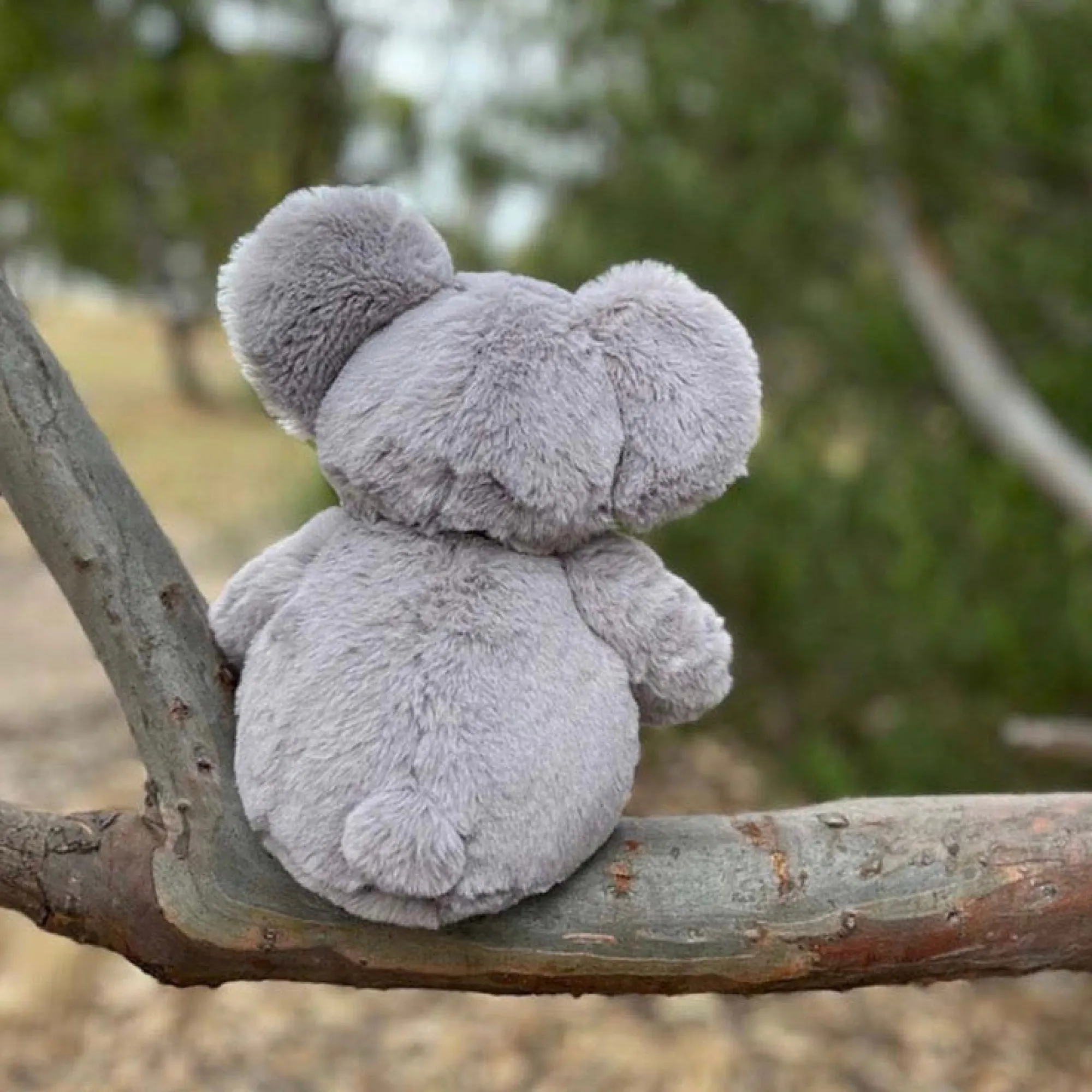 koala_3.webp Furfolk Travel | Soft Toys>Koala