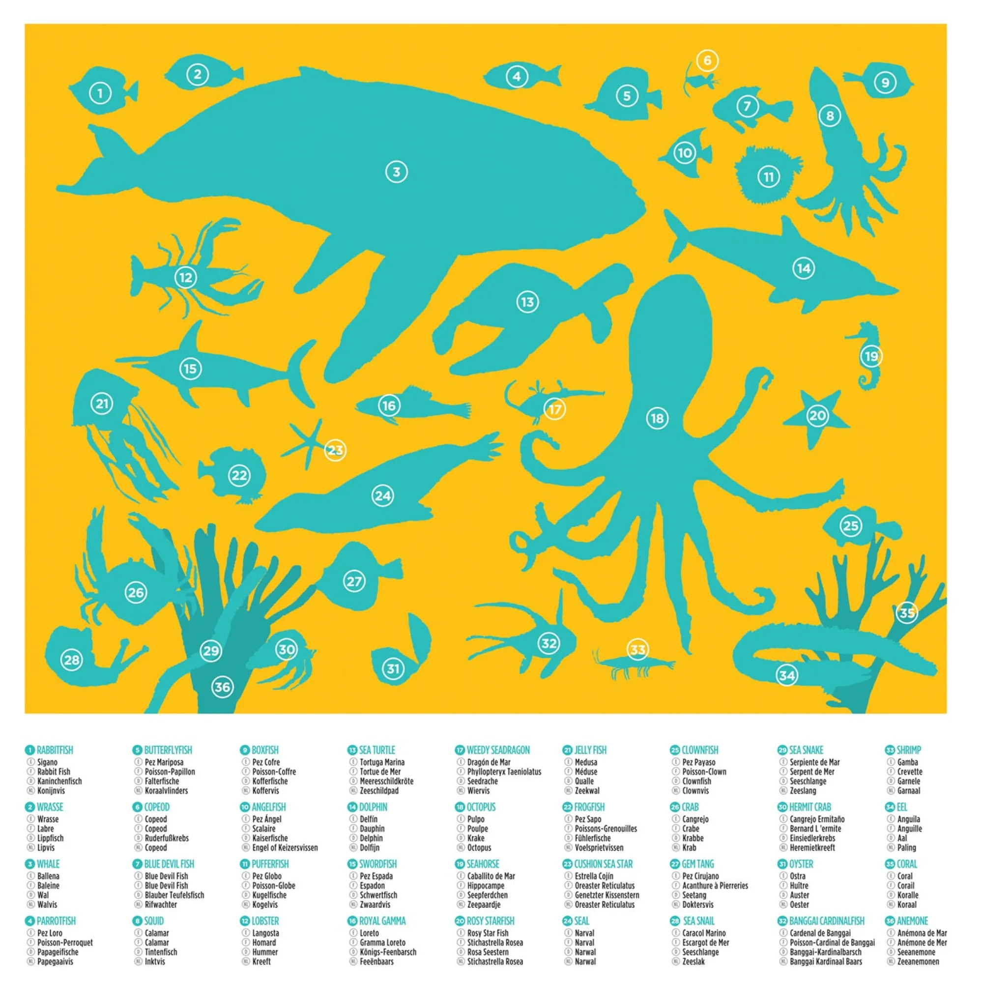 ocean_animals_puzzle___p_1.webp Crocodile Creek Puzzles>36 Ocean Animals Puzzle - 100 pieces - 5+