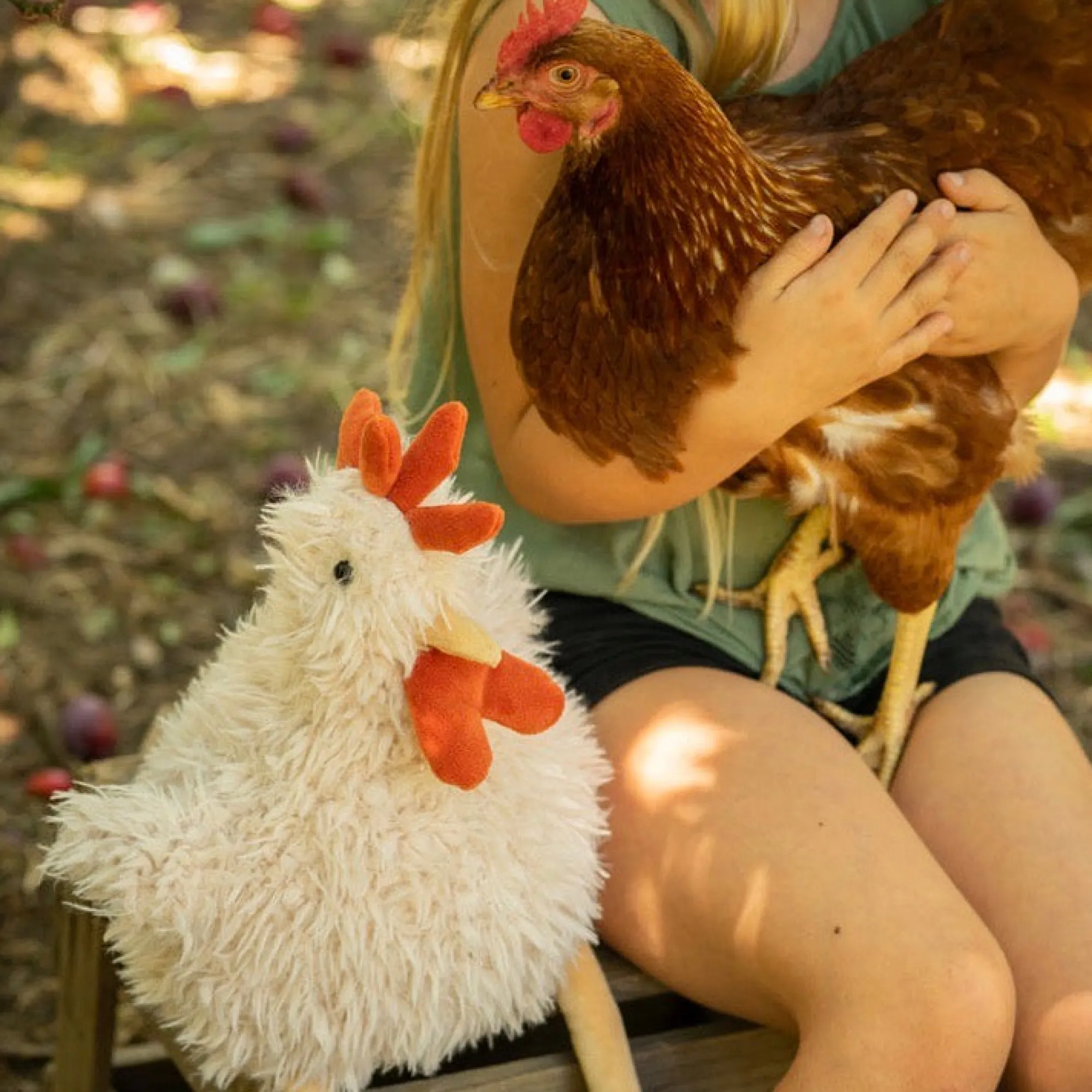 roy_the_rooster_1.webp Nana Huchy Soft Toys | Easter>Roy the Rooster