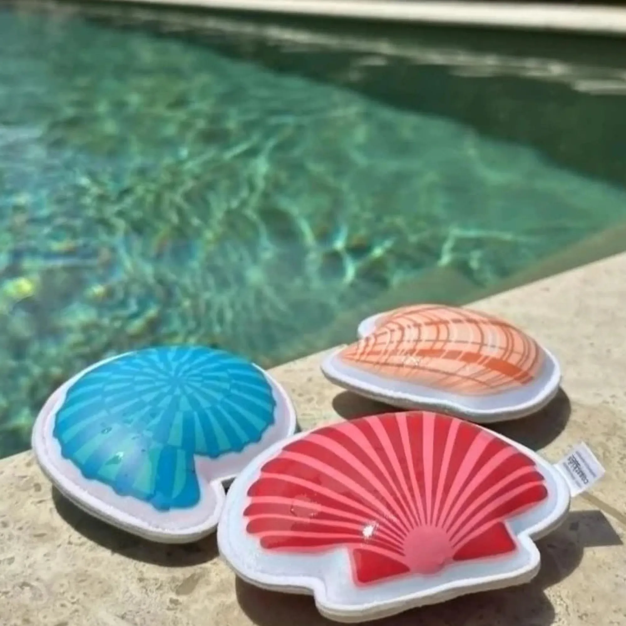 sinking_shells_dive_toys_0.webp Coast Kids Beach>Sinking Shells Dive Toys