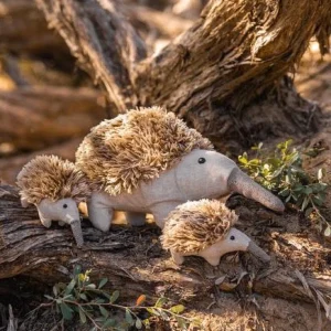 Nana Huchy Soft Toys | Baby>Spike the Echidna - 27cm
