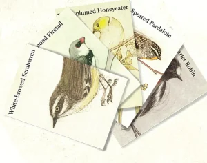 Bridget Farmer Games | Eco>The Bush Birds Card Game