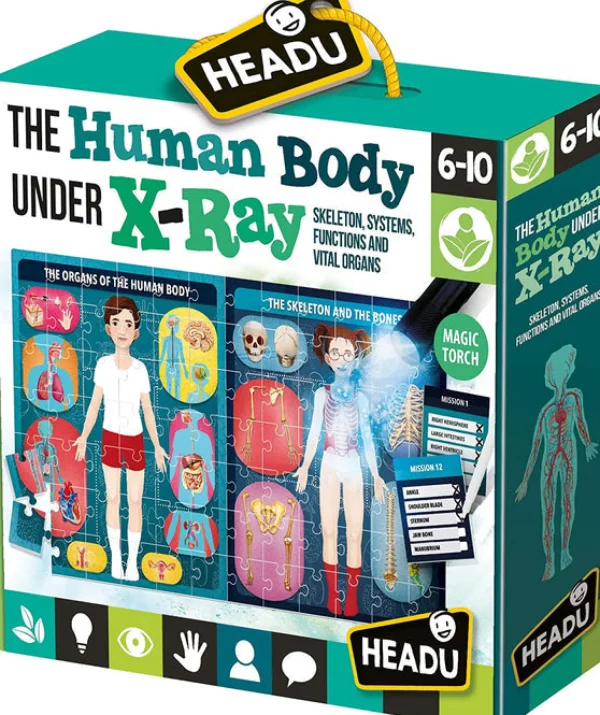 Headu Activity | Outlet>The Human Body Under X - Ray - 6+
