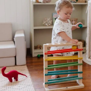 Q Toys Wooden Toys | Eco>Track a Ball - 2+