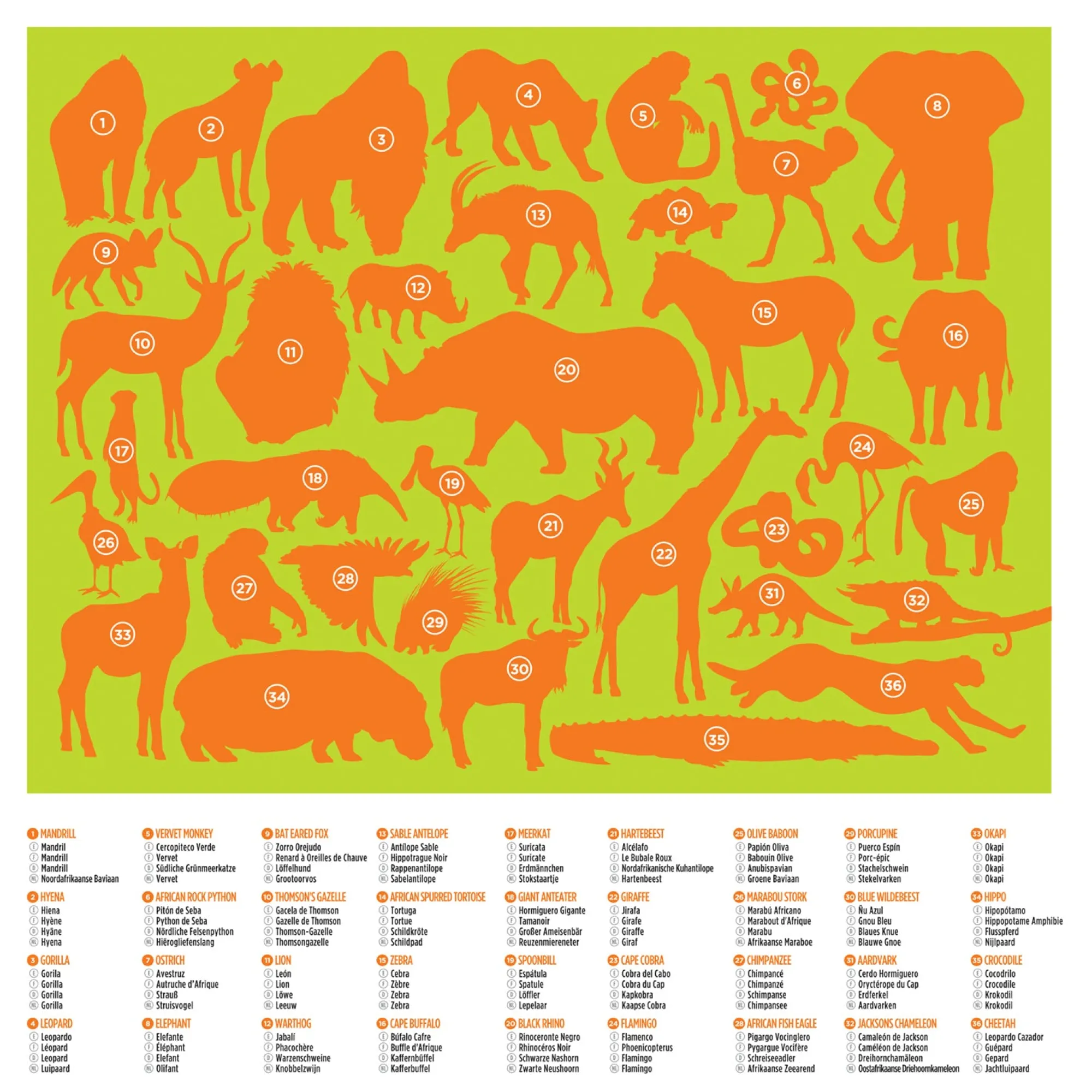 wild_animals_puzzle___pi_1.webp Crocodile Creek Puzzles>36 Wild Animals Puzzle - 100 pieces - 5+