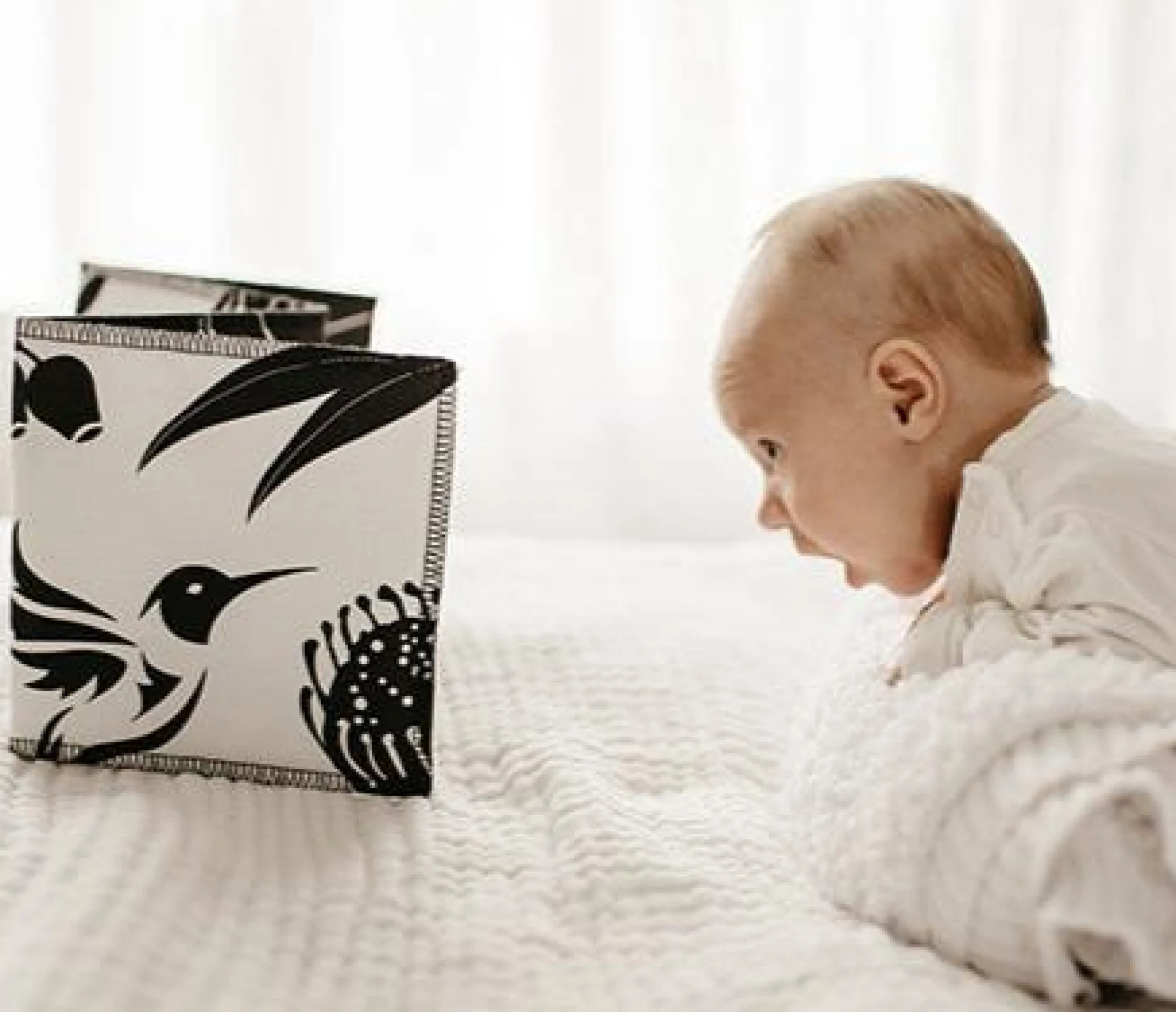 wildbaby_organic_cloth_bo_1.webp Mesmerised Eco | Baby>Wildbaby Organic Cloth Book - 0+