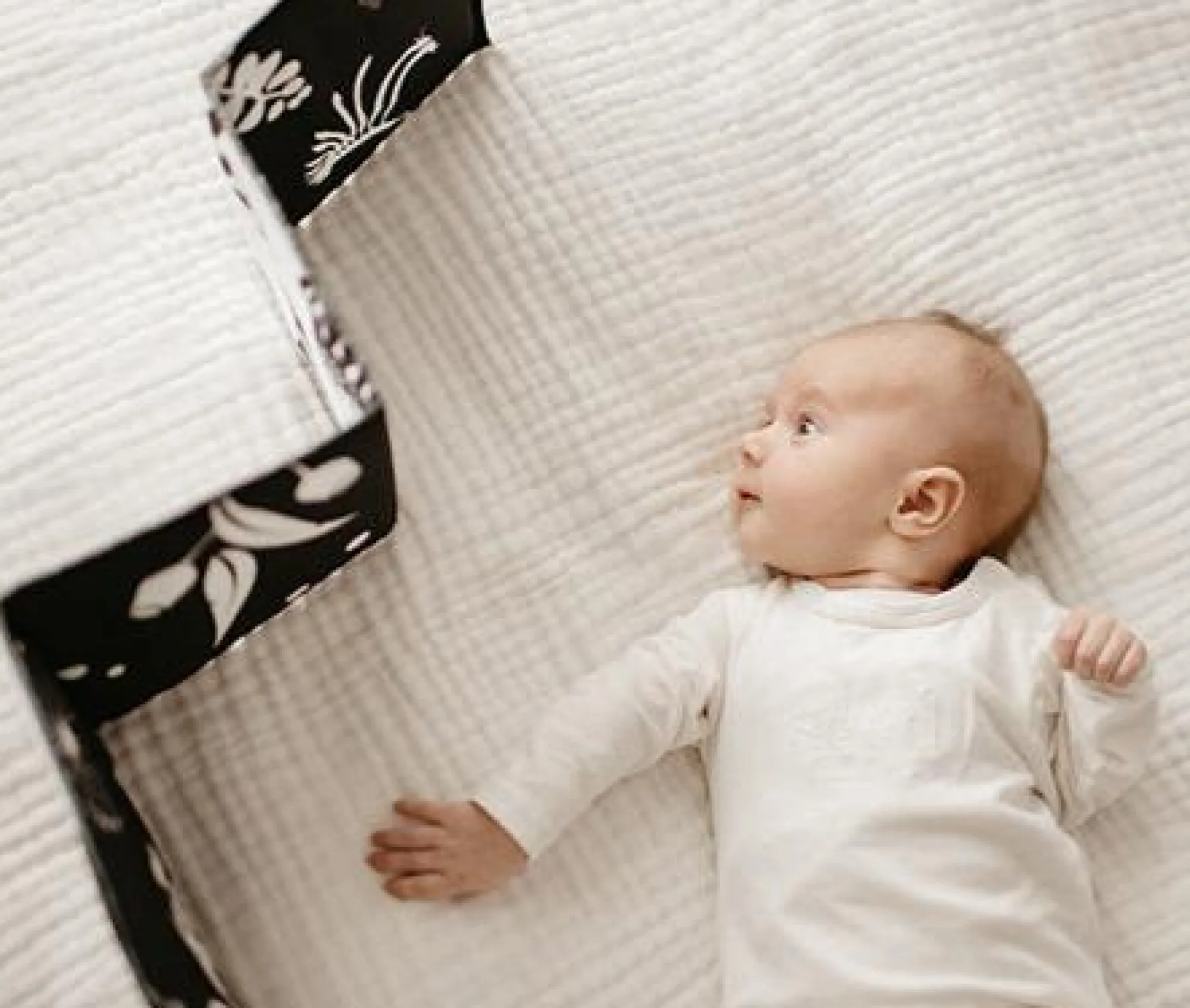 wildbaby_organic_cloth_bo_3.webp Mesmerised Eco | Baby>Wildbaby Organic Cloth Book - 0+